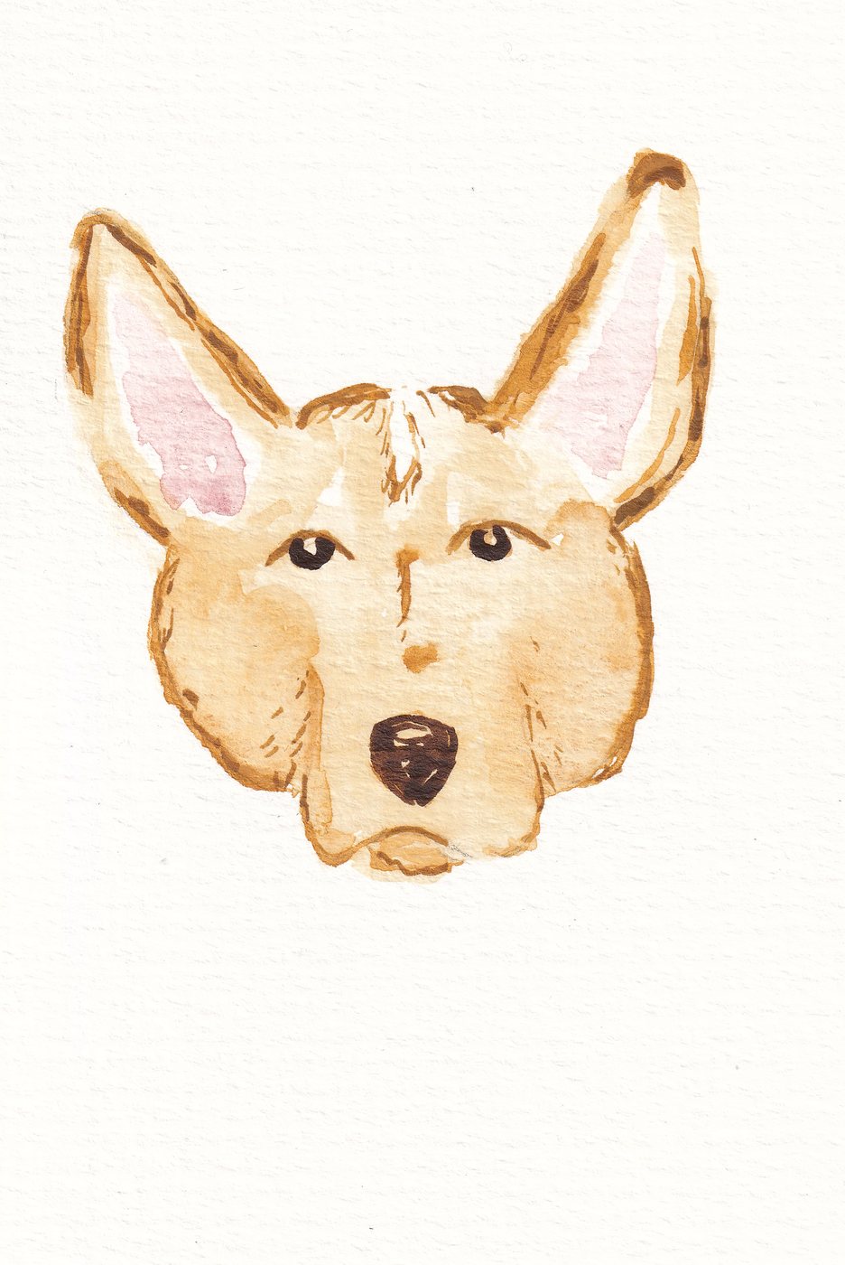 Watercolor portrait of a cream-coated shepherd dog with large upright ears, painted head-on